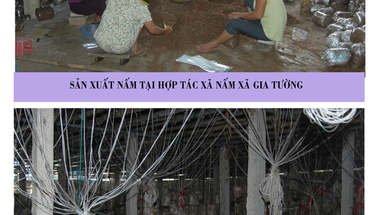 <a href="/tin-tuc-su-kien/hoat-dong-cac-lang" title="HOẠT ĐỘNG CÁC LÀNG" rel="dofollow">Hoạt động thôn làng</a>